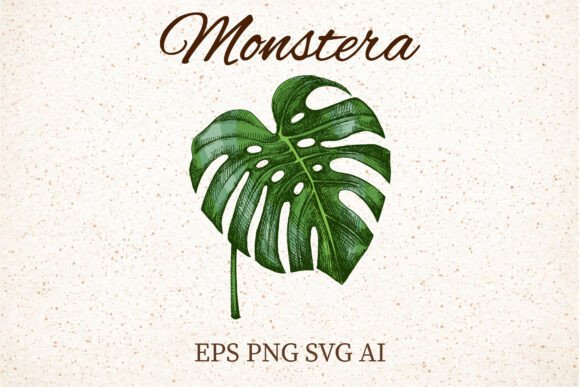 Review: Monstera Leaf Clipart for Embroidery Projects
